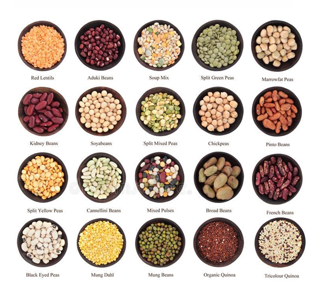 Vessel Maintenance Center